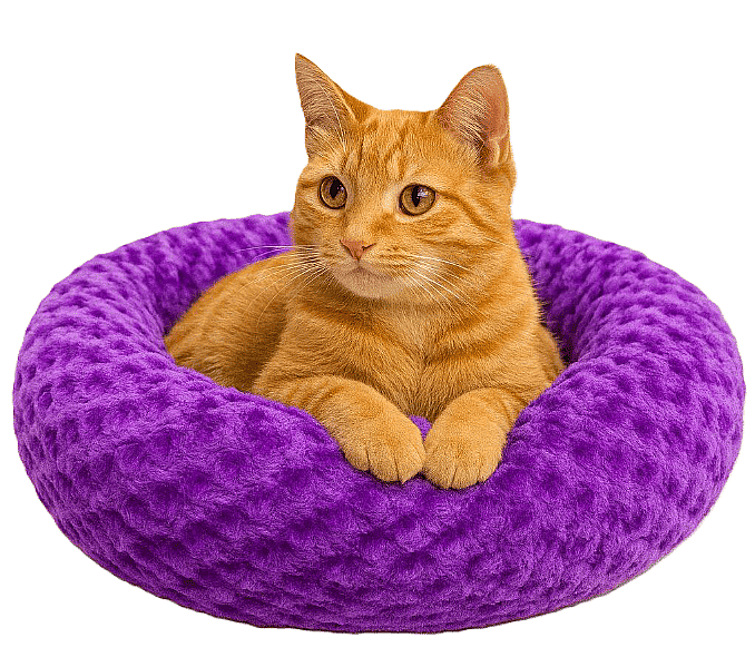 SİMİT YATAK PELUŞ MOR 55X55CM - 1
